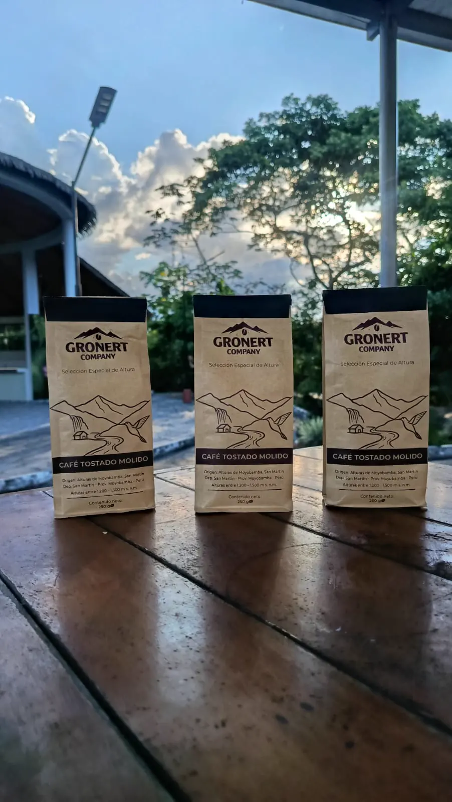 Granos de Café Gronert
